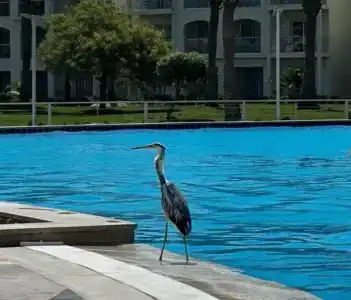 Pickalbatros Dana Beach Resort - Hurghada - 13