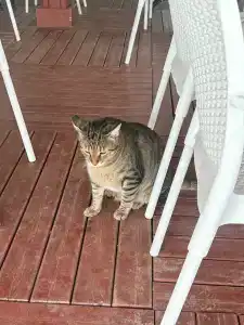 Palm World Side Resort & SPA - 71