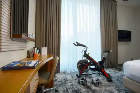 Tryp by Wyndham Istanbul Topkapi - 10