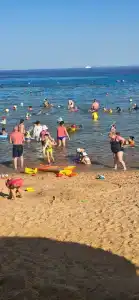 Park Regency Sharm El Sheikh Resort - 99