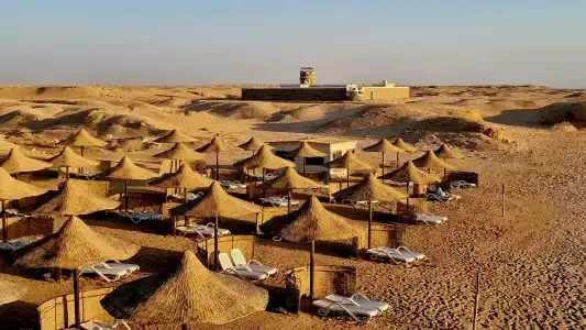 Viva Blue Resort and Diving Sharm El Naga (Adults Only) - 6