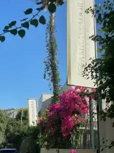 Ambassador Plaza - 71