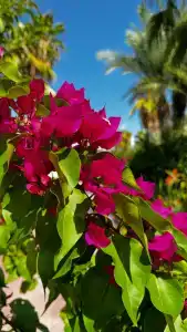 Club Turan Prince World - Kids Concept - 35