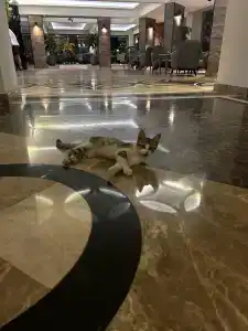 Tac Premier & Spa - 22