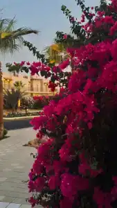 Concorde El Salam Sharm El Sheikh Front - 14