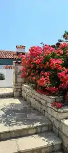 Labranda Ephesus Princess - All Inclusive - 48