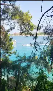 Laguna Beach Alya Resort & Spa - 15