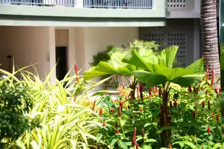 Le Meridien Khao Lak Resort & Spa - SHA Extra Plus - 57