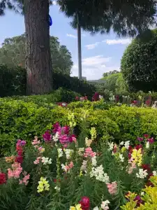 Calista Luxury Resort - 81