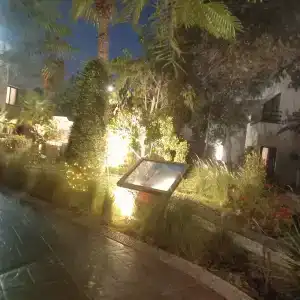 Dubai Marine Beach Resort & Spa - 43