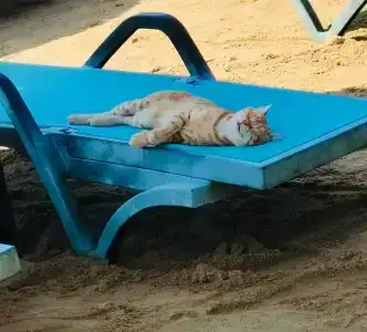 Crystal Green Bay Resort & Spa - Ultimate All Inclusive - 40