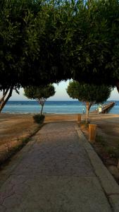 Wadi Lahmy Azur Resort - Soft All-Inclusive - 45