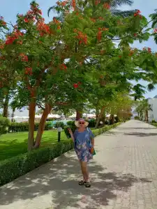 Happy Life Village Dahab - 29