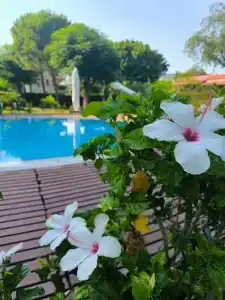 Limak Limra & Resort Kemer - Kids Concept - 46