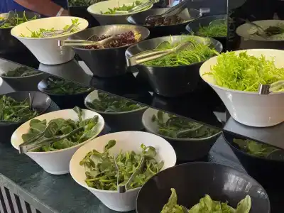 Oba Star - Ultra All Inclusive - 71