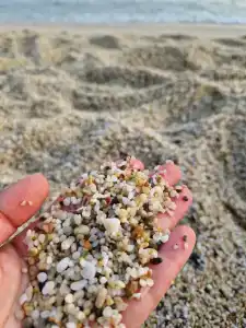 Kleopatra Atlas - Adults Only - 46