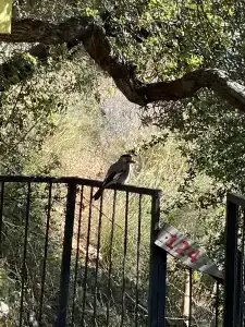 Symbola Oludeniz Beach - 44