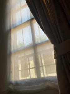 1207 Special Class - 79