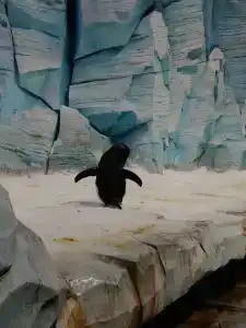 Park Hyatt Abu Dhabi and Villas - 42