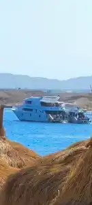 Continental Plaza Beach Resort - 26