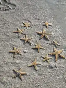 Hampton By Hilton Marjan Island - 67