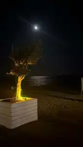 Arcanuss Sorgun - Ultra All Inclusive - 91