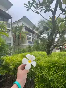 Le Meridien Khao Lak Resort & Spa - SHA Extra Plus - 15