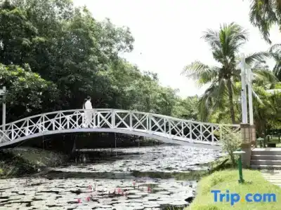 The Leela Resort & Spa Pattaya - 4