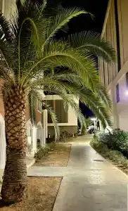 Swandors & Resorts - Kemer - 19