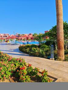 Pickalbatros Laguna Vista Aqua Park - Sharm El Sheikh - 95