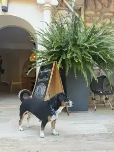 True Blue Boutique Kalkan - 53