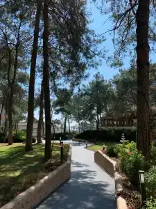 Suenos Beach Side - 6