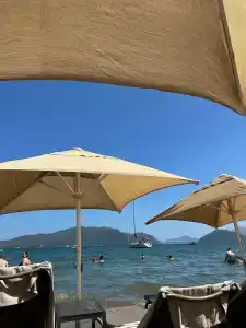 Green Nature Diamond - 66