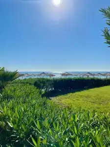 Amara Premier Palace - 69