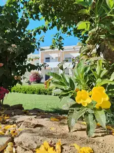 Club Reef Resort & Spa - 14