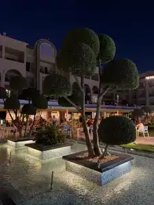 Pickalbatros White Beach Resort - Hurghada - 99