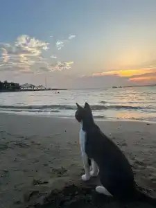 Lonicera Resort & Spa - Ultra All Inclusive - 75