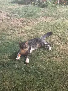 Coral Hills Resort Sharm El-Sheikh - 54