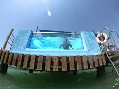 Kaya Palazzo Golf Resort - 29