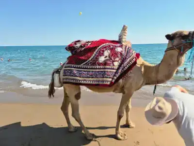 ICs Santai Family Resort - Kids Concept - 77