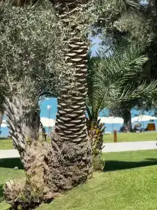 Rixos Premium Bodrum - 94