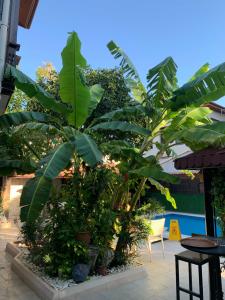 Castle Old Town - 31