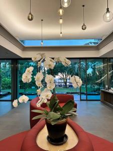 Ramada Resort by Wyndham Khao Lak - SHA Plus Extra - 24