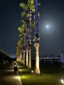 Voyage Belek Golf & Spa - 12