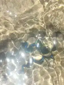 Sunrise Remal Beach Resort - 65