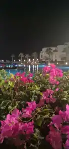 Ivy Cyrene Island Resort - 5