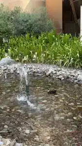 Le Royal Méridien Beach Resort & Spa - 36