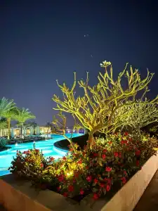 Baron Palace Sahl Hasheesh - 66