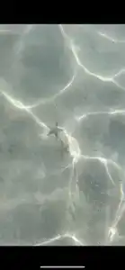 Dubai Marine Beach Resort & Spa - 90