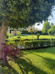 Halıcı Marmaris - 30